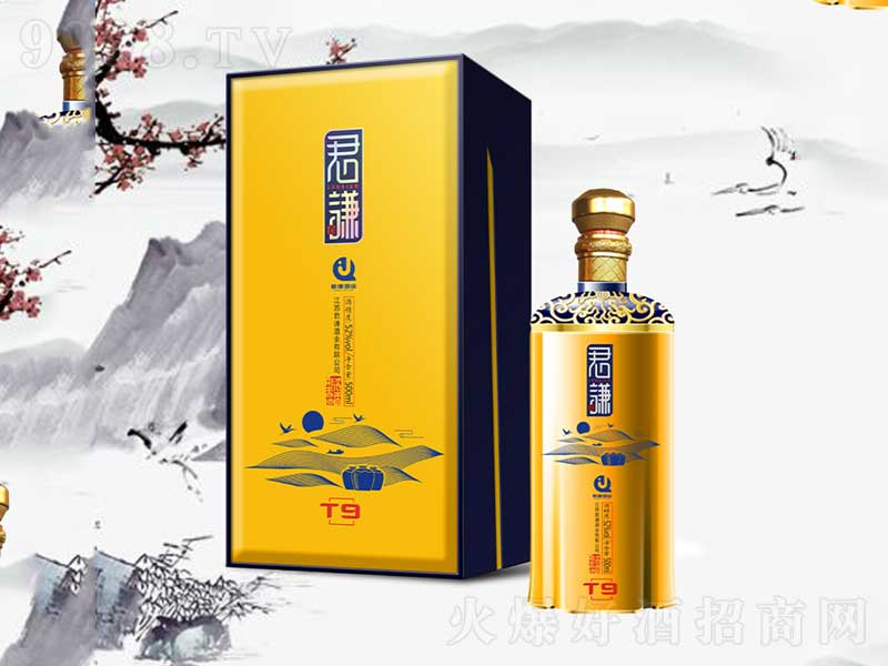 T9���t�Ɲ����;ơ�45��500ml��
