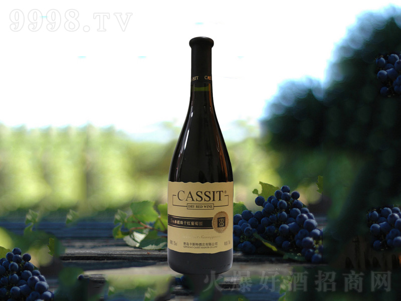 ���u��˹��S9��ϼ��ɼt���Ѿ�750ml