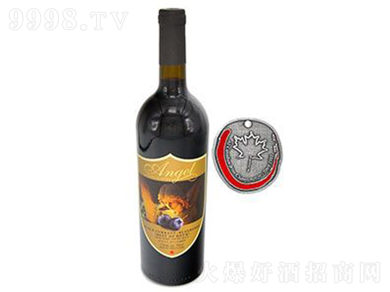 ����ɭݮ��ƣ�2009���y�������Ѿơ���12��750ml��-�t�����Ϣ