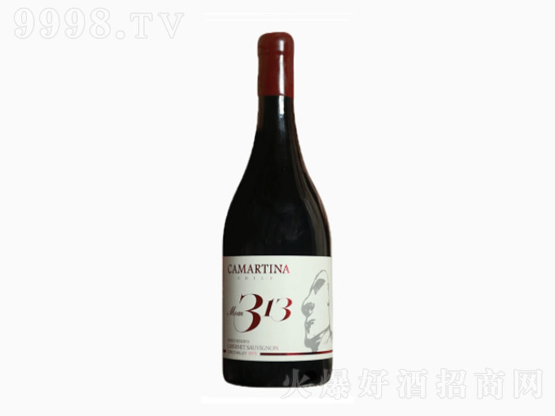 ���T���߼�(j��)������ؼ�(j��)M313��ϼ��ɼt���Ѿ�750ml