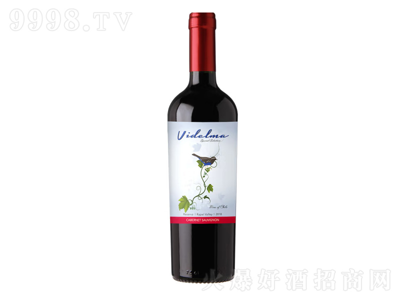 �����𪄼t�ƾS�ì���ϼ��ɼt���Ѿ�����ɽ��750ml