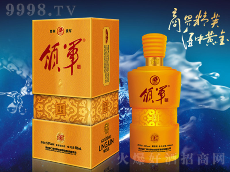 �I܊�����I �u���͡�53�� 500ml��