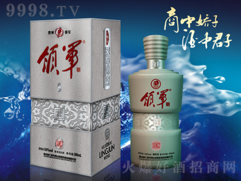 �I܊�����I �u���͡�53�� 500ml��