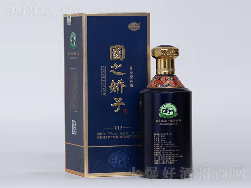 ��֮���Ӿ�V12 �u���͡�53�� 500ml��