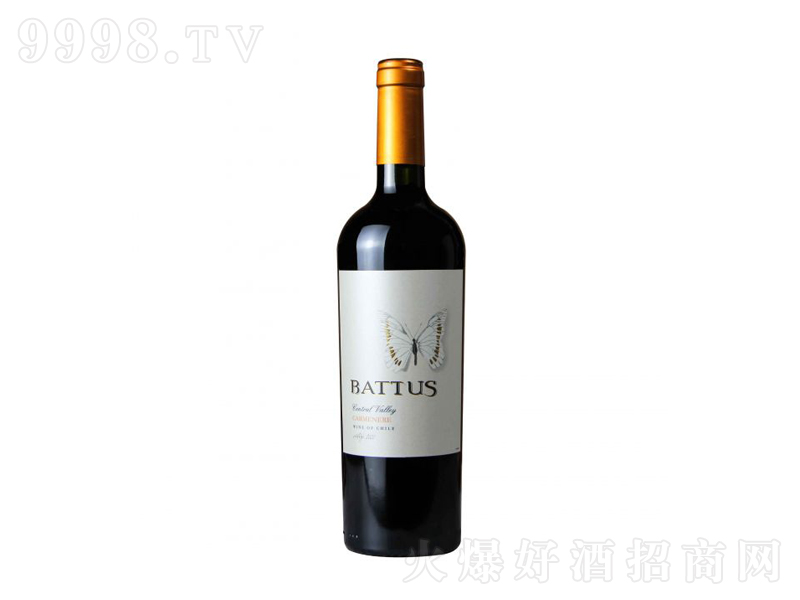 ��������ɽ�Ȱ͈D˹�����ȼt���Ѿ�750ml