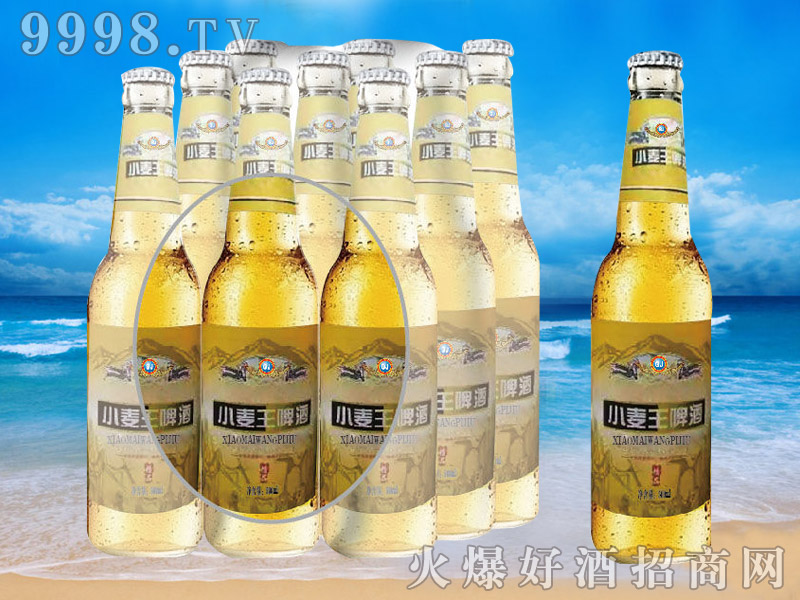 ����ơ��С����ơ��500ml-���ơ��