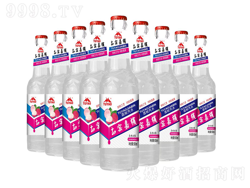 ���G�Ι���ˮ����֦ζ��-��ơ��500ml��9ƿ��