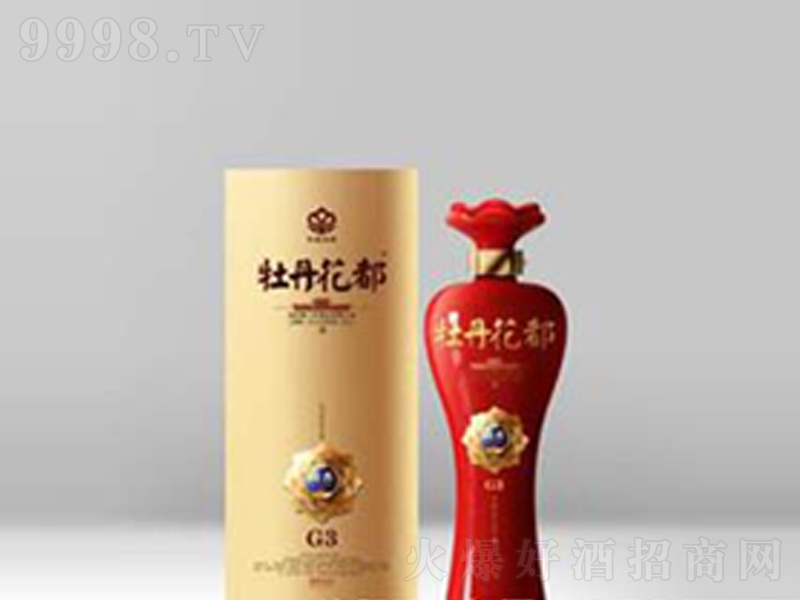 ĵ�����Ƈ���G3�����͡�46��500ml��