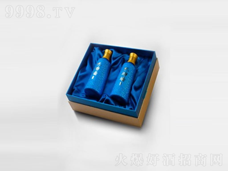 �R�^���Y����Ʒ�B���S�ơ�13��500ml��