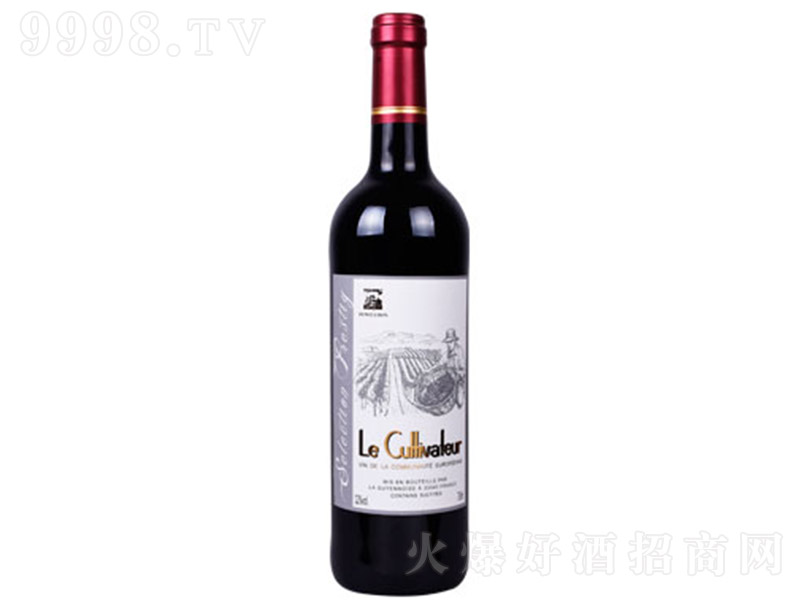 �������������t���Ѿơ�12�� 750ml��