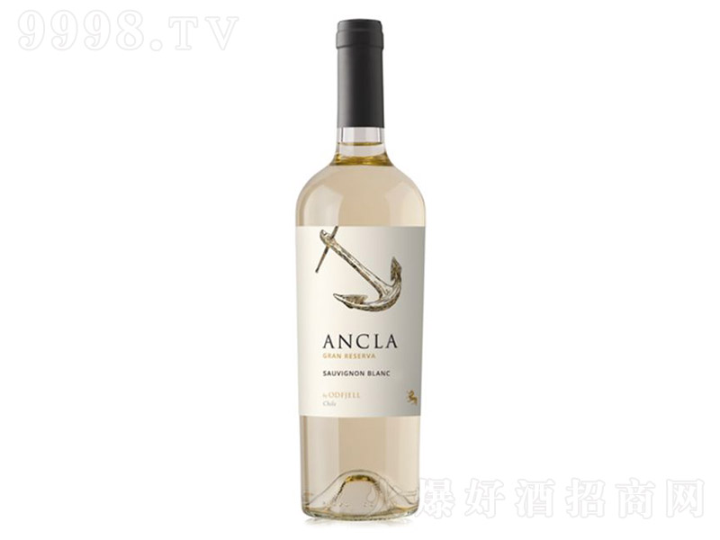 ����ʥ���|��Ȱ������ؼ�(j��)����L(zh��ng)��˼�����Ѿơ�13.5�� 750ml��