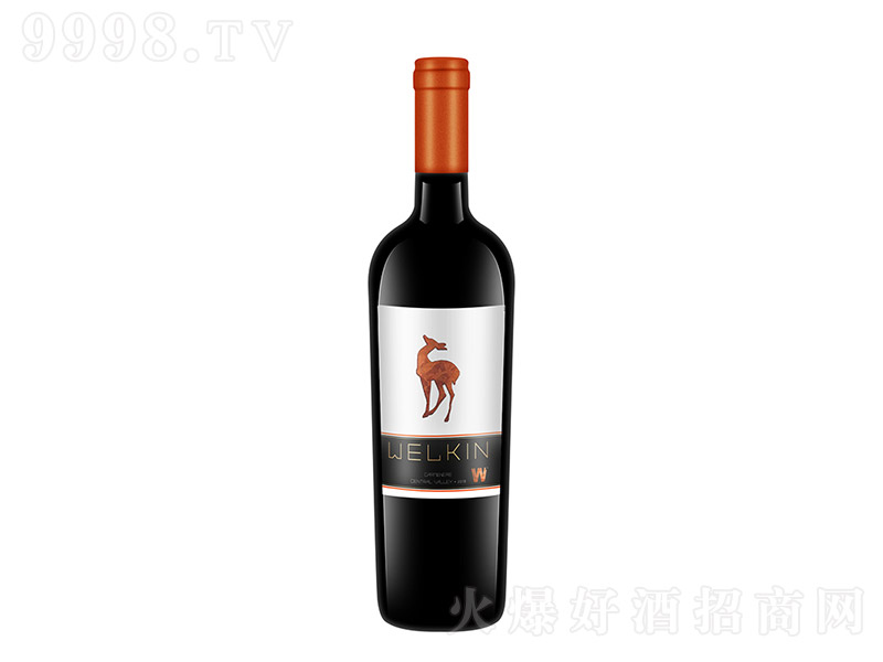 ��������ȼt���Ѿơ�13�� 750ml��