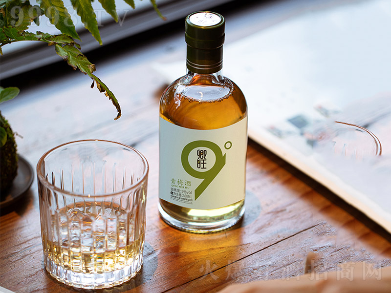 ������÷�ơ�9%vol 300ml��