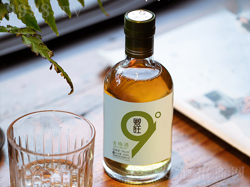 ������÷�ơ�9�� 300ml��