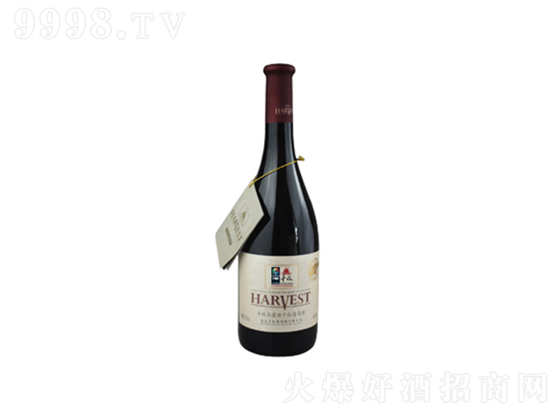 �S���tժ��ϼ��ɼt���Ѿơ�13.5�� 750ml��-�t�����Ϣ