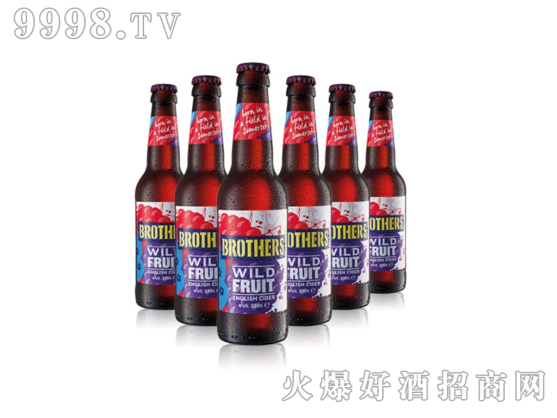 Ӣ��ԭ�b�M���ֵ�����ƹ�ζơ��330ml