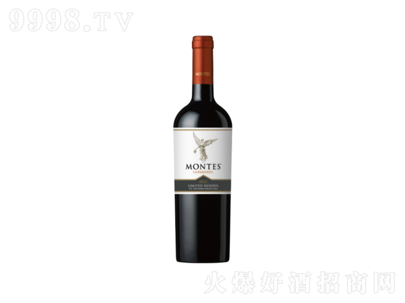 ����˹�t��montes����ʹ��ϼ��÷��ɼt���Ѿ�750ml