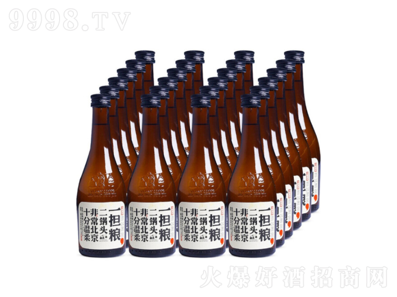 ����һ���Z����^�������˽����������С��̖251ML