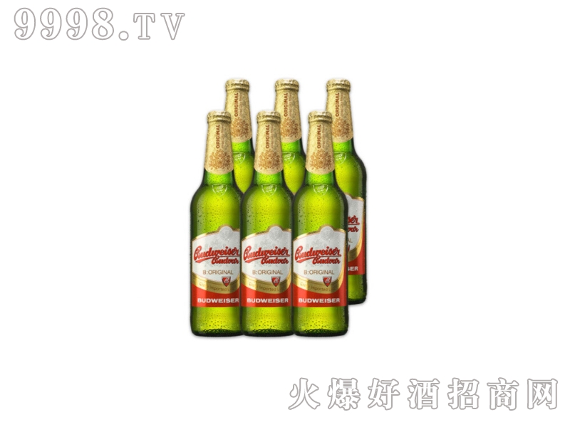 �ٵø�Budejovcky�Ѳؽݿ�ԭ�b�M(j��n)�ھ��ơ��330ml