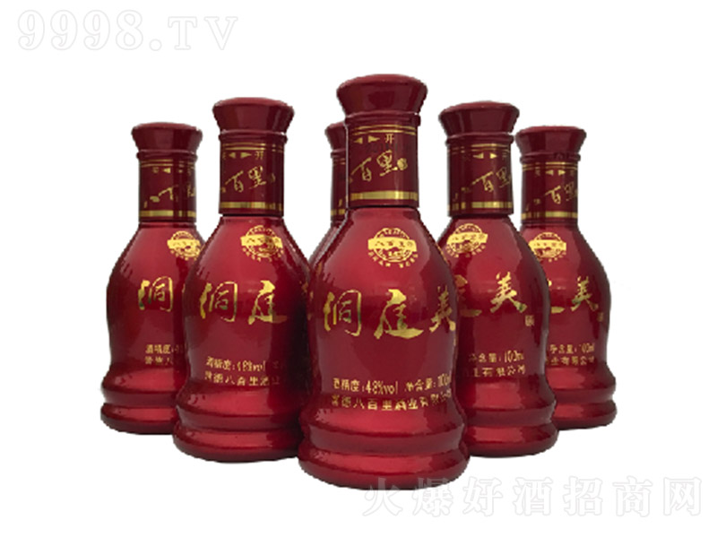 �˰��ﶴͥ���� �����͡�48�� 100ml��