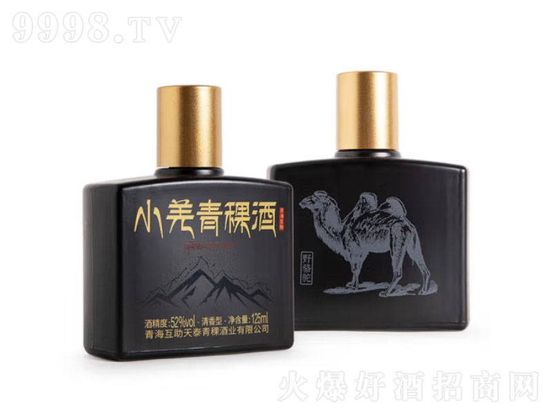 ���׷�С��������Сƿ�������;��ຣ�خaСǼ��ϡ����桾52��125ml��-�׾�������Ϣ