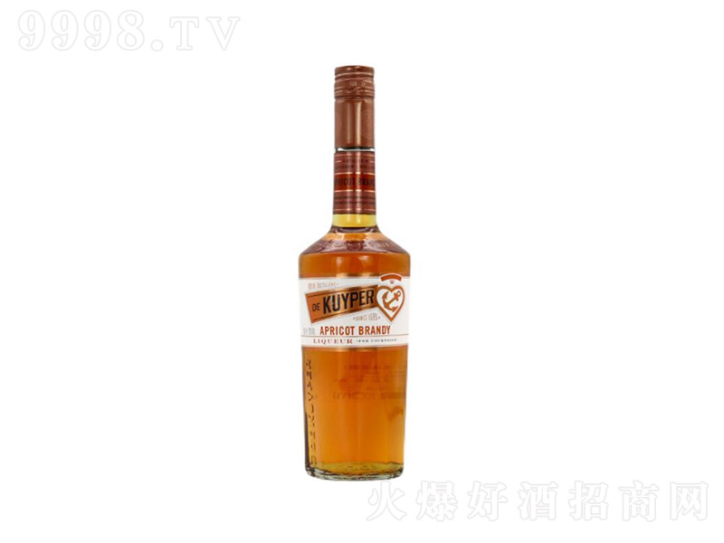 DEKUYPER�τP����ζ���ھơ�24��700ml��