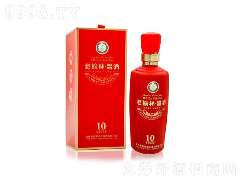 �������u��10�u���;����̡�53��500ml��