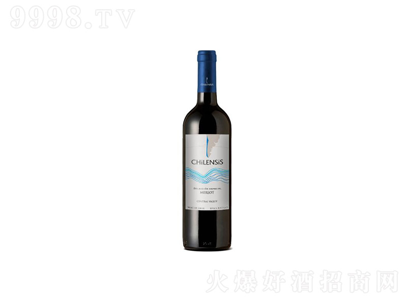 �����؄e���x÷��ɼt���Ѿơ�13��750ml��-�t�����Ϣ