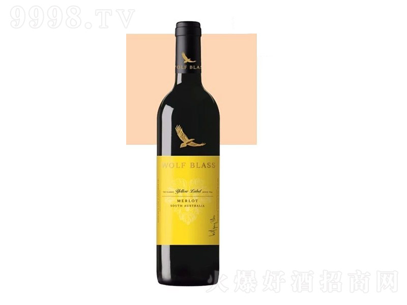 ���x�S��÷�����Ѿ�750ml-�t��������Ϣ