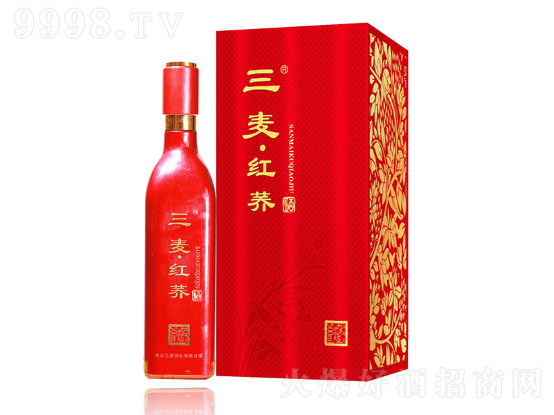 �������w�Ƽt�w�������棩 �w���͡�42�� 500ml��