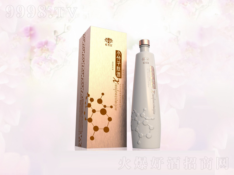 ���B��С�����ľư�ƿ�����;ơ�38��500ml��-�׾����Ϣ