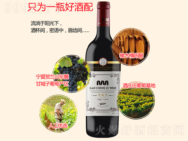 ��ʿ֮·�ɼt���Ѿơ�750ml��