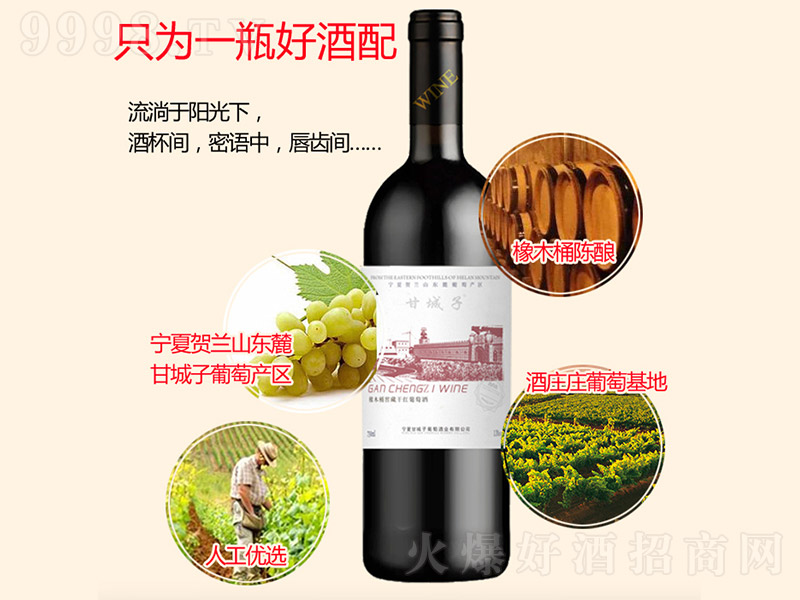 ��ľͰ�Ѳظɼt���Ѿơ�750ml��