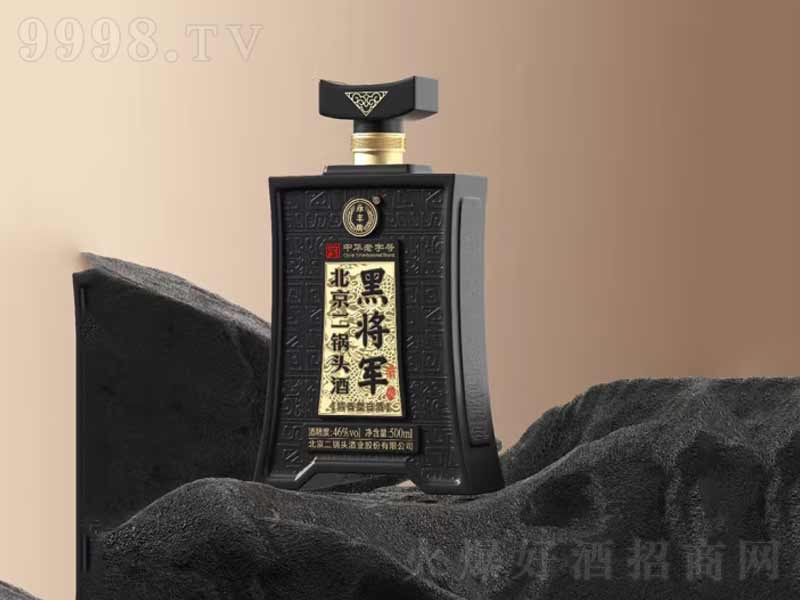 ���S�Ʊ�������^�������;ƺڌ�܊�ء�46��500ml��