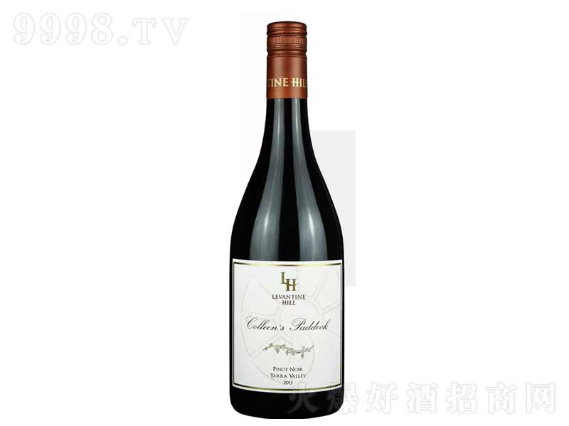 �R��ɽ���Ո@��Ƥ�Z�ɼt���Ѿ�750ml-�t�����Ϣ