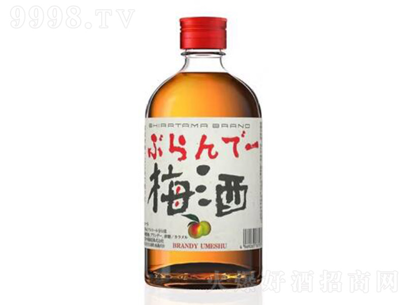 ��ʯ���m��÷��500ml