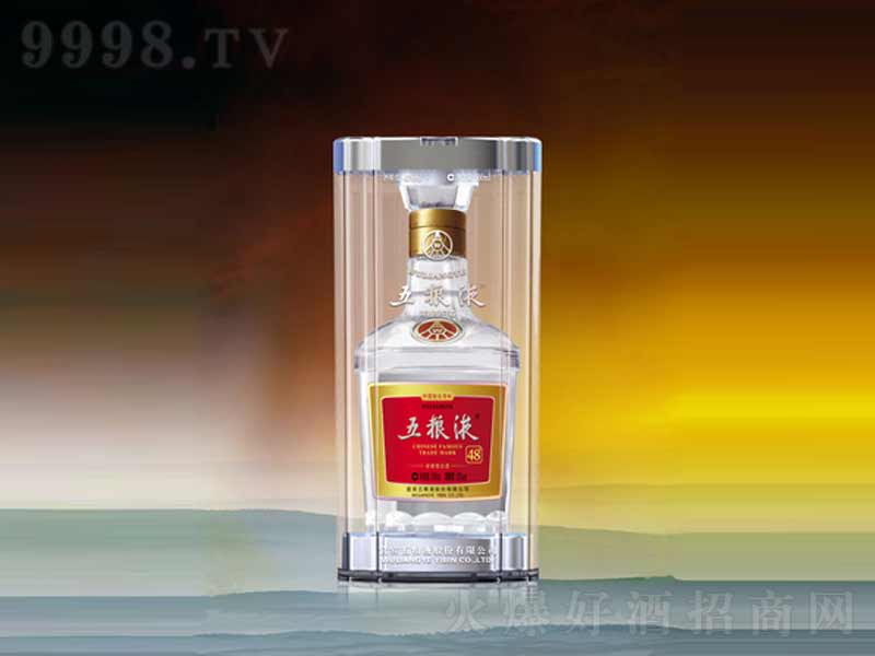 ��ZҺ�����;ơ�48��500ml��