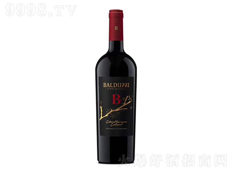 �������ҽz���fBϵ�г�ϼ��-�����ȼt���Ѿơ�750ml��-�t�����Ϣ