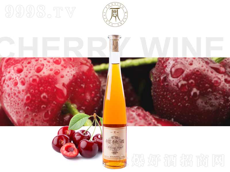 �������ž��x�����Ҿơ�10��500ml��-�خa(ch��n)�����Ϣ