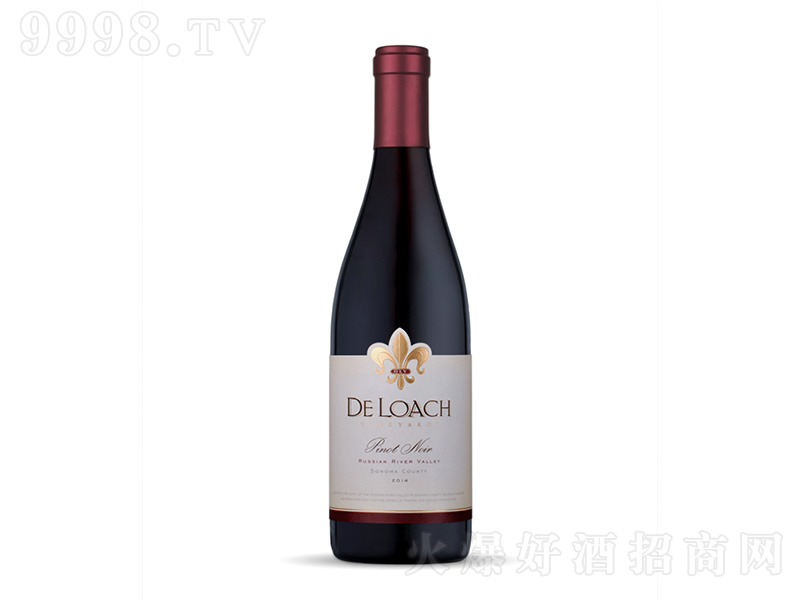 �_�����_˹�ӹȺ�Ƥ�Z�t���Ѿơ�750ml��-�t�����Ϣ