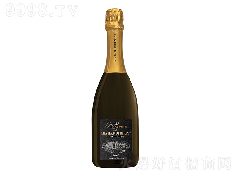 ������Ǳ����а���ݸ����㙉2009��750ml��-�t�����Ϣ