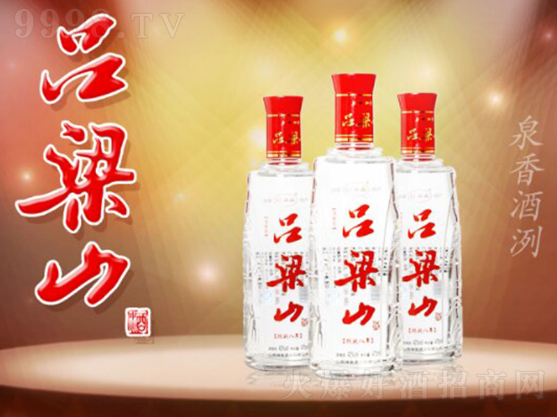 ����ɽ�ƹ�ƿ �����͡�42��475ml��