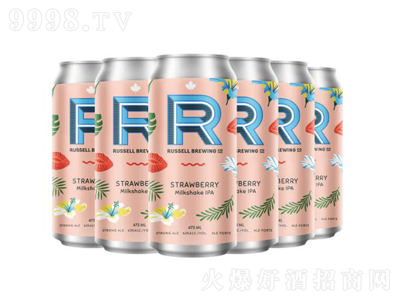 �_�������ô�ԭ�b�M�ھ��ơ�Ʋ�ݮ����IPAơ�ơ�16.3��473ml��