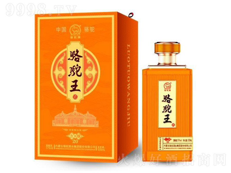 �����ƹ��20���� �����͡�51�� 500ml��-�׾�������Ϣ