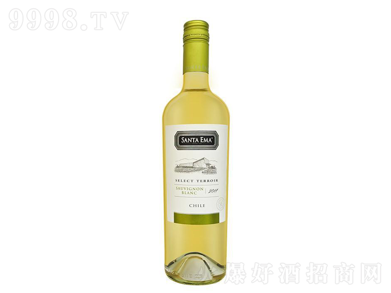 ʥ�����L��˼�����Ѿơ�13��750ml��-�t��������Ϣ
