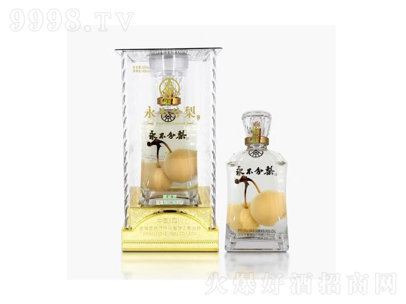 ��ZҺ��������(�p�棩�����͡�40��620ml��