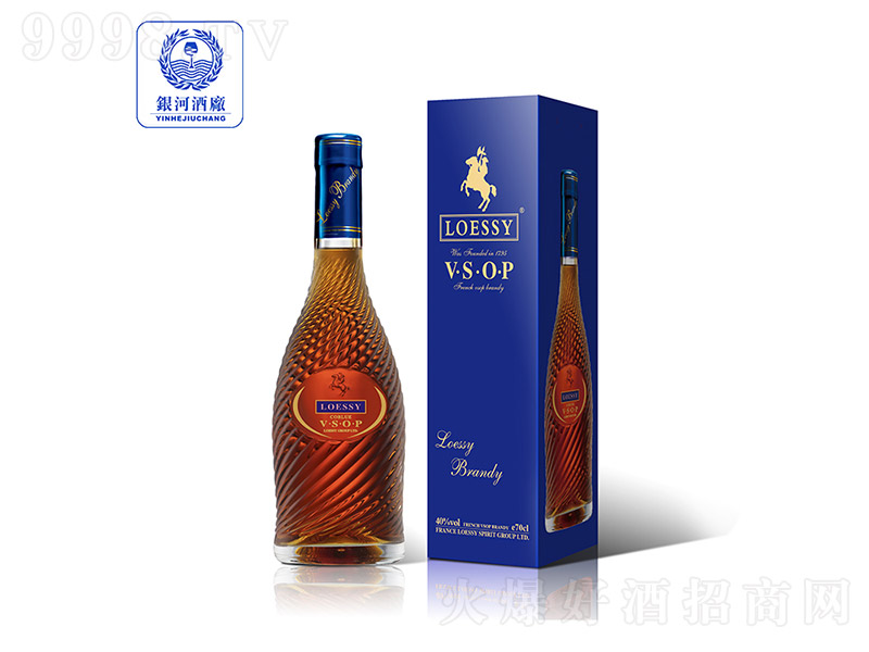 ���[ԊVSOP�{�ذ��m�ء�3L��