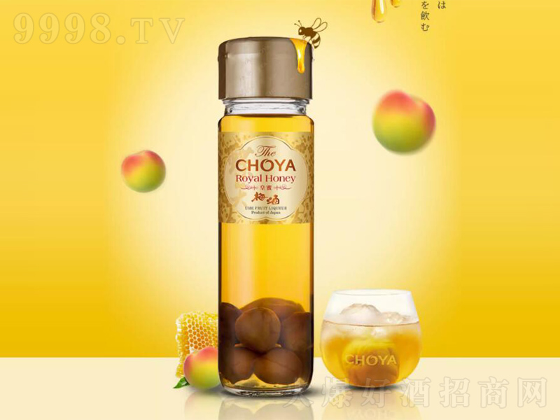��ʸ���۵�ر���÷������÷�ӾƷ��ۡ�17��700ml��