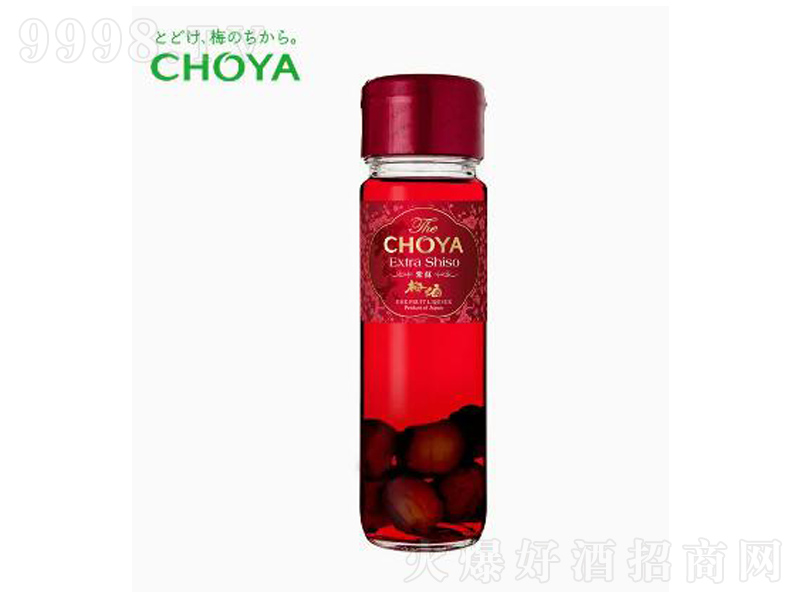 ��ʸ���K��ر���÷������÷�Ӿ���÷�ơ�17��700ml��-�خa(ch��n)��������Ϣ