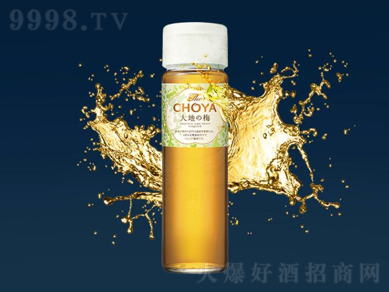 ÷�ӾƵ�ʸ���Ŵ��֮÷����÷����÷�ơ�15��720ml��